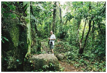 Dad in the jungle near Paraty (Dad)