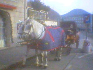 Salzburg tourist transport