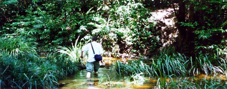 Me wading through leech infested jungle rivers (Daniel Winterstein)