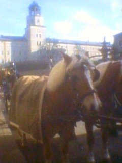 Salzburg tourist transporter (2) 